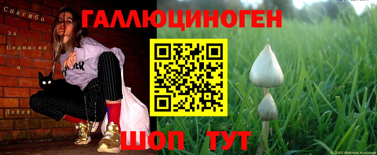 Галлюциногенные грибы мицелий Салават