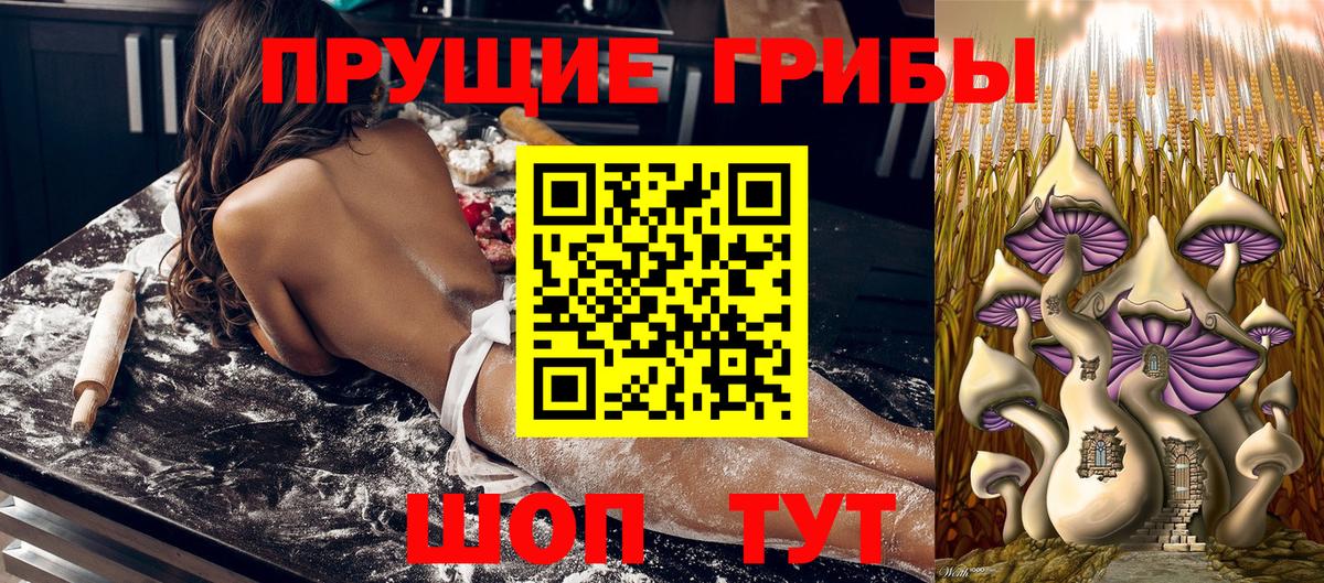 Салават  Галлюциногенные грибы Psilocybine cubensis  Вход с VPN  Псилоцибиновые грибы мицелий 